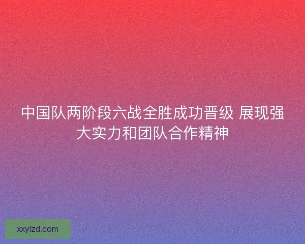 中国队两阶段六战全胜成功晋级 展现强大实力和团队合作精神
