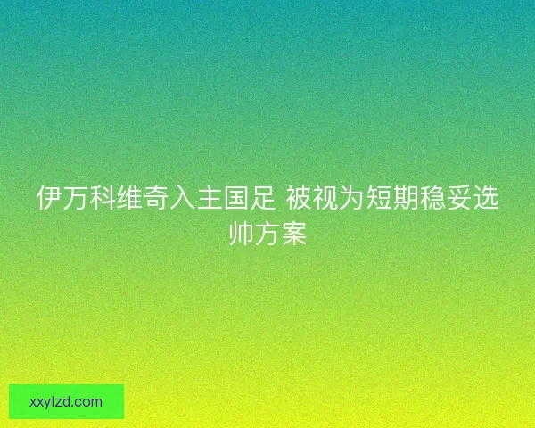伊万科维奇入主国足 被视为短期稳妥选帅方案